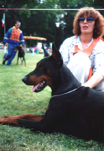 CH. Faygor fedor Von rauberstolz